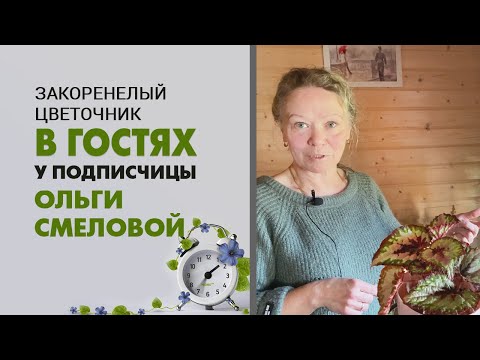 Видео: В гостях у Ольги Смеловой - зеленый дом на опушке леса Ленинградской области