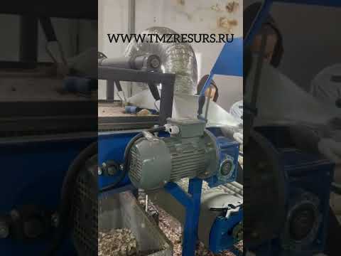 Видео: Вторичная очистка и сортировка чеснока на фракции.