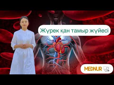 Видео: Жүрек қан тамыр жүйесі 🫀 журек кан тамыр жуйесы