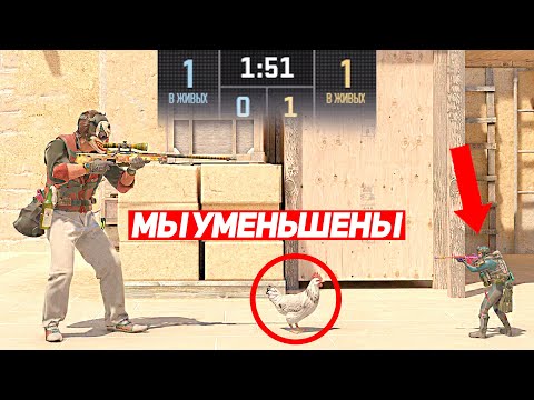 Видео: СЫГРАЛИ 1 НА 1 НО МЫ УМЕНЬШЕННЫЕ В 2 РАЗА (CS2)