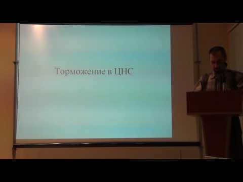 Видео: Общая физиология ЦНС 1