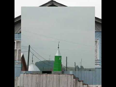 Видео: Шокурово