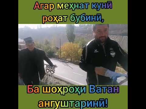 Видео: Ободии диёр! 🇭🇺