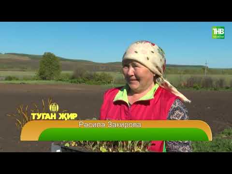 Видео: Туган җир 31/05/24