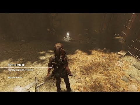 Видео: Прохождение Shadow of the Tomb Raider - Путь живых: Добраться до храма #9