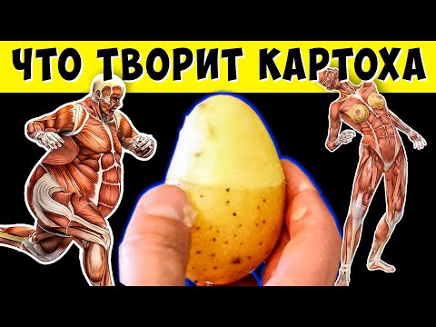 Видео: А что Будет, если Есть Картошку Каждый день?