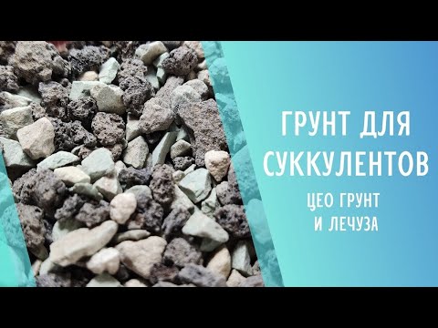 Видео: Грунт для суккулентов 🌱Lechuza и ЦЕОгрунт