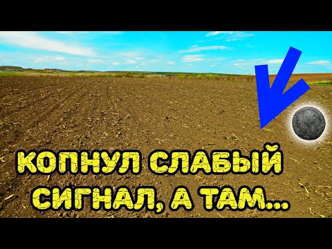 Видео: Не все копают такие сигналы... Конкуренты его не нашли!