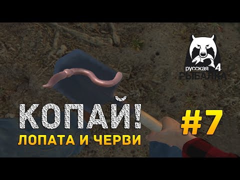 Видео: Русская рыбалка 4 #7 - Копай! Лопата и черви