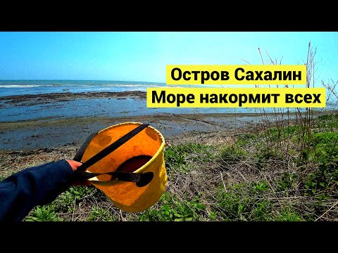 Видео: Остров Сахалин. Море накормит всех // Sakhalin island. The sea feeds everyone (Eng Subs)