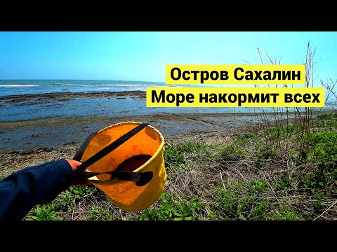 Видео: Остров Сахалин. Море накормит всех // Sakhalin island. The sea feeds everyone (Eng Subs)