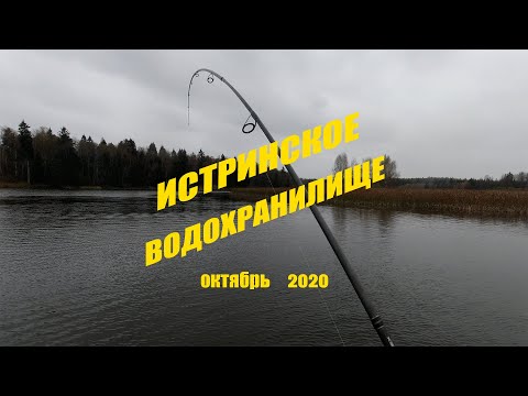 Видео: ИСТРИНСКОЕ водохранилище! ОКТЯБРЬ 2020
