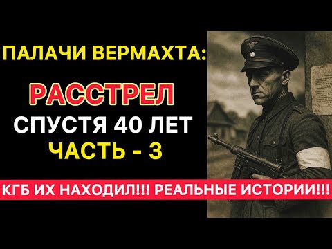Видео: Неожиданное открытие в архиве 1973 года удивило всех! Часть 3