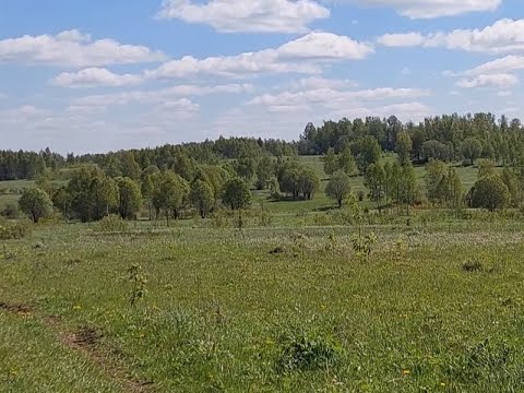 Видео: В поисках захоронения внучки А С  Пушкина в Вяземском районе Смоленской области