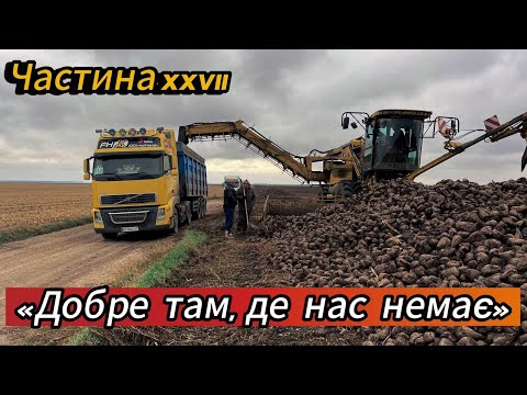 Видео: Збираємо цукровий буряк та молотимо кукурудзу на Хмельниччині — Сезон 2024 у розпалі!