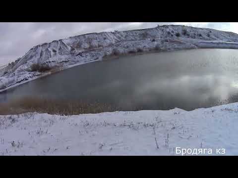 Видео: Охота на зайца. фазенда с видом.