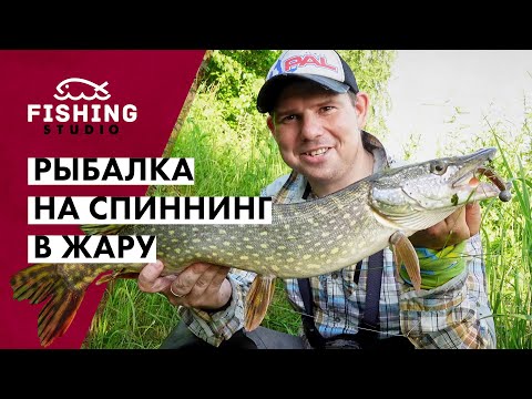 Видео: Как поймать рыбу в середине лета? | Рыбалка на спиннинг в жару | ВихровLIFE