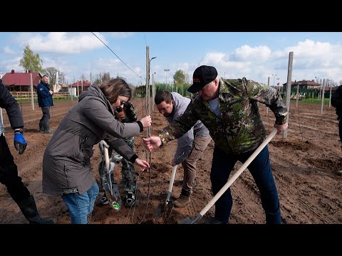 Видео: Лукашенко: Так, смотри, засыпай! Всё, хорош! // Субботник, апрель 2024