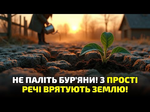 Видео: Як оцет і сіль врятують вашу землю від зимових бур’янів