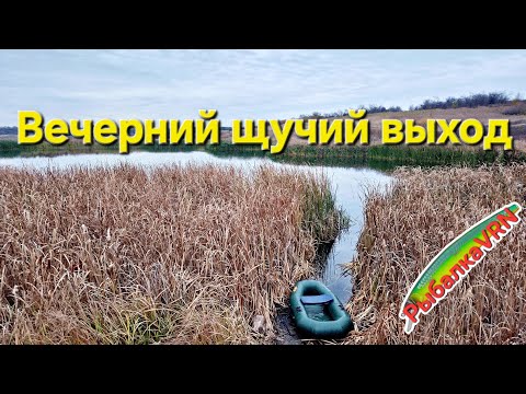 Видео: [2025]Рыбалка на спиннинг в октябре 6