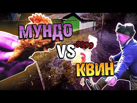 Видео: МУНДО СХОДИЛ В KFC, или ростикс || МУНДО VS КВИН || МАСТЕР ЛИГА МУНДО