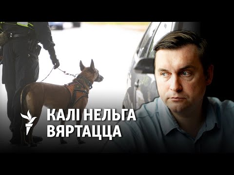 Видео: Стрыжак: «З пачаткам мабілізацыі зваротаў у BySol у стала ў 7 разоў болей»