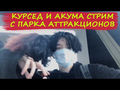 Видео: Стрим Курседа и Акумы в парке аттракционов