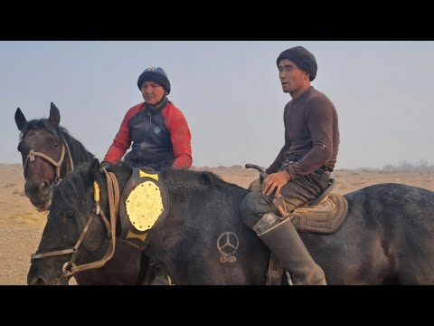 Видео: 11 ноября 2025 г.