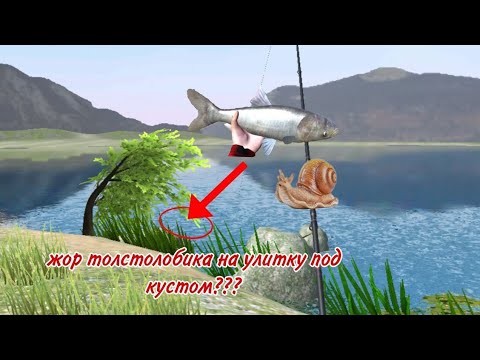 Видео: жор толстолобика на улитку,под кустом???? играем в ultimate fishing simulator вместе с мистер лещ