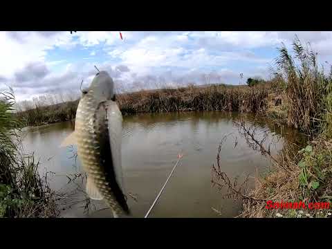 Видео: Риболов в Приморско 1. Каналите на помпената станция.