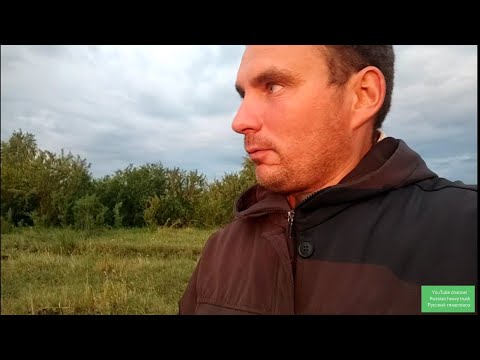 Видео: Жеребец Лакмус сбежал из конюшни. форс-мажор.Force Majeure