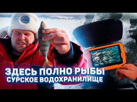 Видео: ОПУСТИЛИ КАМЕРУ В ВОДУ И БЫЛИ В ШОКЕ! ЦЫПЛЁНОК В КАЗАНЕ!