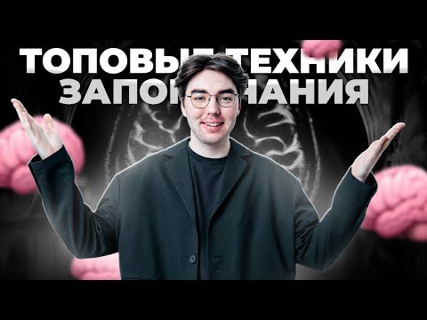 Видео: Как запомнить всю теорию для ОГЭ? | ТОПовые техники запоминания