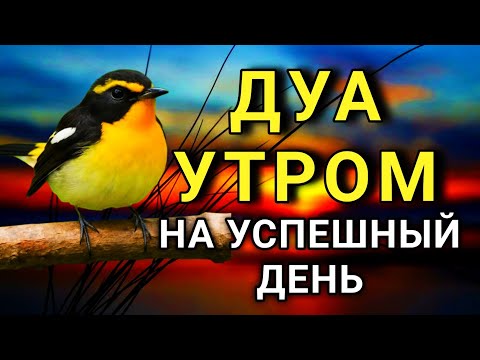 Видео: ДУА УТРОМ САМЫЙ МОЩНЫЙ СТАРТ ДНЯ! 🤲✨😊