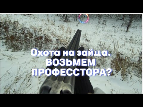 Видео: ОХОТА НА ЗАЙЦА. ВОЗЬМЕМ ПРОФЕССОРА? ЧАСТЬ ПЕРВАЯ.