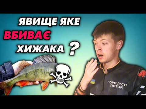 Видео: Що таке ТЕРМОКЛИН?! Як він ВПЛИВАЄ на АКТИВНІСТЬ ХИЖАКА?!