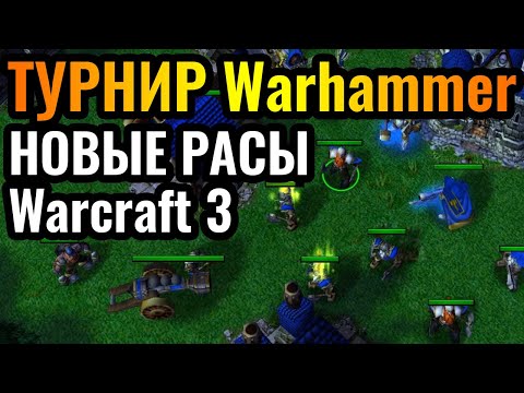 Видео: Расы из Warhammer?! Турнир кастомных рас в Warcraft 3 Reforged | Wanderbraun играет