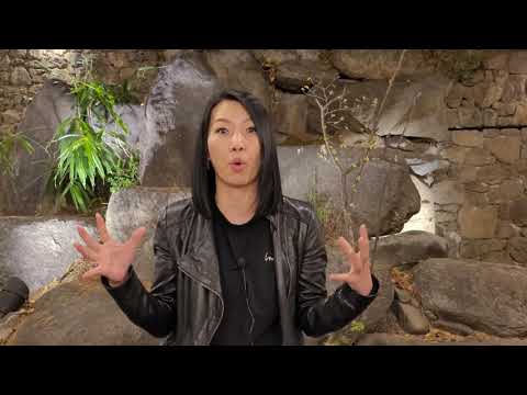 Видео: АВТОСТРАХОВАНИЕ В ЮЖНОЙ КОРЕЕ