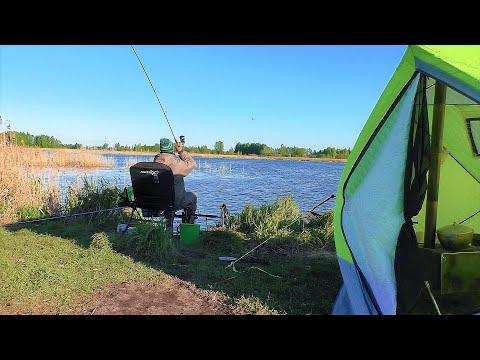 Видео: Открытие по карасю и линю! Холодно! Но удалось всётаки уговорить!