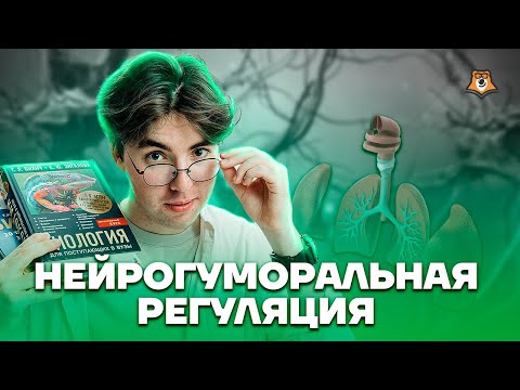 Видео: Нейрогуморальная регуляция | Биология ОГЭ 2023 | Умскул