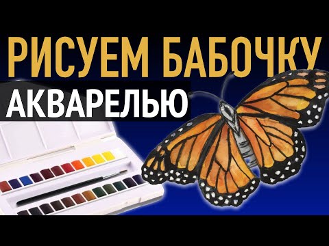Видео: Как нарисовать БАБОЧКУ акварелью 🦋🦋🦋Простые рисунки для начинающих