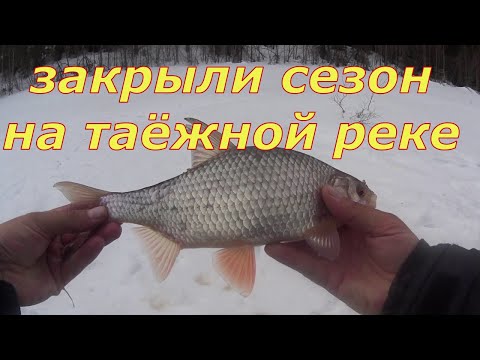 Видео: Последний лёд на таёжной реке.