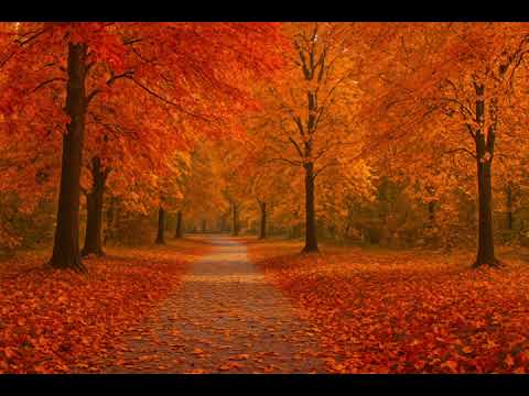 Видео: Ах,ета осень золотая - Виктор ЦАН 