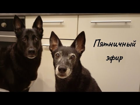 Видео: Пятничный эфир!