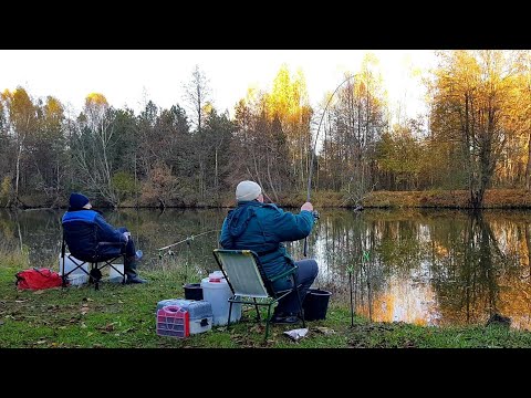 Видео: Это Какой-то Жор Леща! Рыбалка с Ночевкой. Раздача Леща на Фидер Ночью! Вот Это Клев! ЧАСТЬ II.