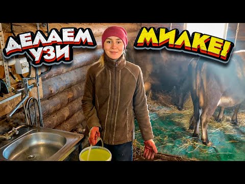 Видео: Тракторные Права у Девушки и курсы по Осеменению КРС | Молодая Ферма
