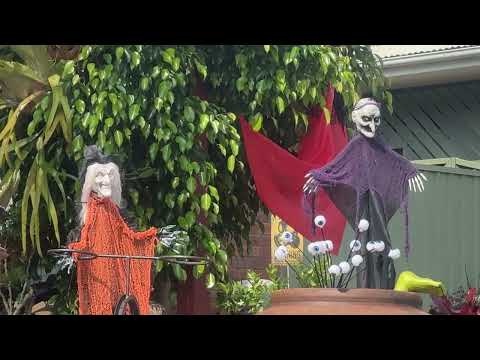 Видео: ПАРКОВЫЕ УЛУЧШАТЕЛИ 🙄 ЛЮБИМЫЙ ПРАЗДНИЧЕК АВСТРАЛИИ 👽 