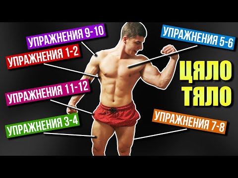 Видео: Тренировка за ЦЯЛО ТЯЛО в домашни условия - 12 УПРАЖНЕНИЯ вкъщи