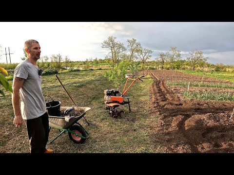 Видео: Косьба, первая рассада в грунт и культивация