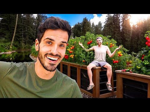 Видео: Сбор урожая на нашей усадьбе (вы будете шокированы этим садом, не подключенным к электросети)